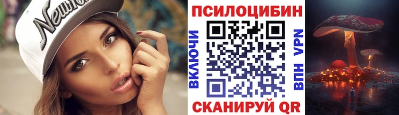 Галлюциногенные грибы MAGIC MUSHROOMS  где купить наркотик  МЕГА сайт  Славск 